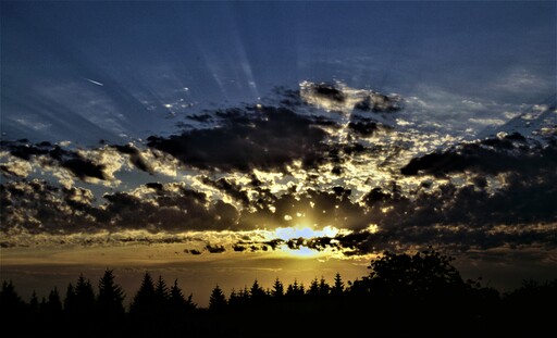 Weitesland | Stille Sommertage | Landschaftsfotograf auf alleFotografen