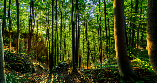 Snpshts-Fotografie | Landschaften | Landschaftsfotograf auf alleFotografen