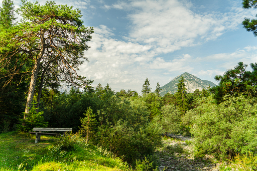 Snpshts-Fotografie | Landschaften | Modefotograf auf alleFotografen