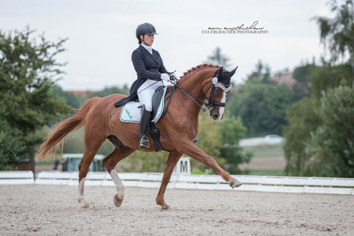 Eva Erlbacher Photography | Turnierveranstaltung | Pressefotograf auf alleFotografen