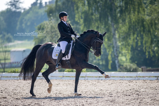 Eva Erlbacher Photography | Turnierveranstaltung | Pressefotograf auf alleFotografen