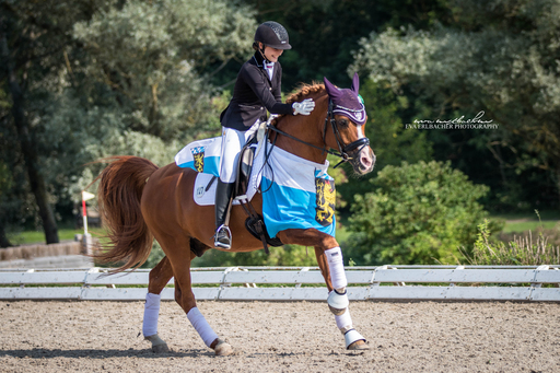 Eva Erlbacher Photography | Turnierveranstaltung | Imagefotograf auf alleFotografen