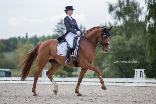 Eva Erlbacher Photography | Turnierveranstaltung | Fahrzeugfotograf auf alleFotografen
