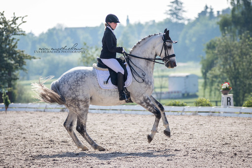 Eva Erlbacher Photography | Turnierveranstaltung | Imagefotograf auf alleFotografen