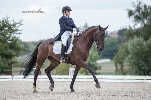 Eva Erlbacher Photography | Turnierveranstaltung | Imagefotograf auf alleFotografen