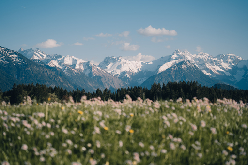 Nico Bogenreuther | Berglandschaften | Interiorfotograf auf alleFotografen