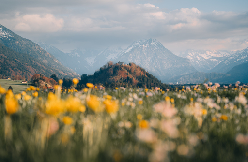 Nico Bogenreuther | Berglandschaften | Landschaftsfotograf auf alleFotografen