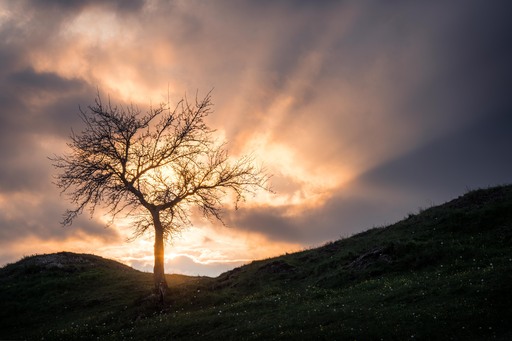 Nico Bogenreuther | Berglandschaften | Portraitfotograf auf alleFotografen