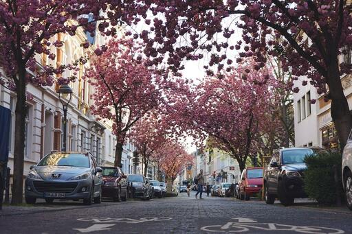 Fotografen in Bonn finden