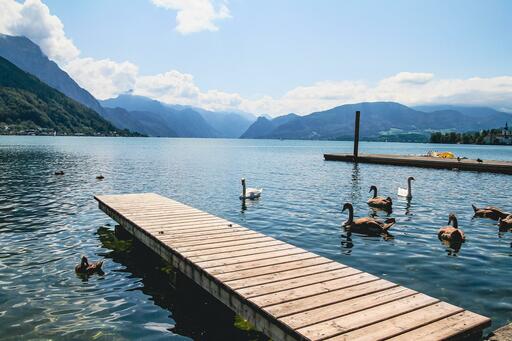 Fotografen in Gmunden finden