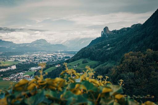 Fotografen suchen und finden