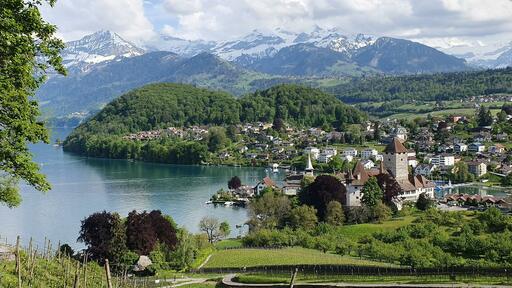 Fotografen in Spiez finden