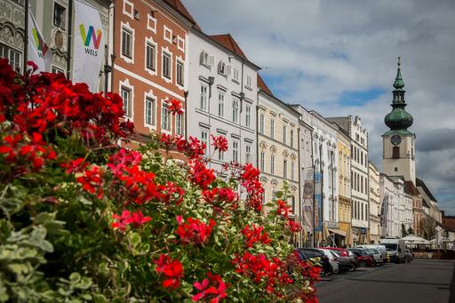 Fotografen in Wels finden