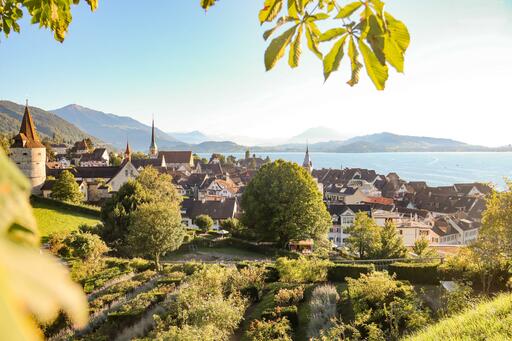 Fotografen suchen und finden