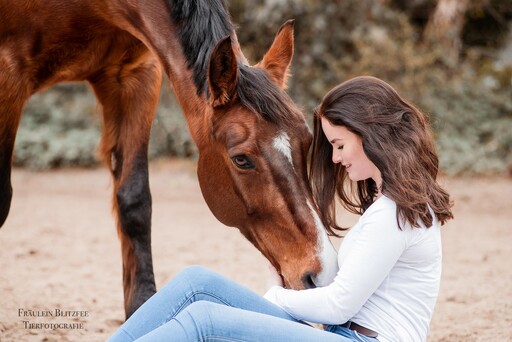 Fräulein Blitzfee Pferdefotografie | Portfolio | Pferdefotograf auf alleFotografen