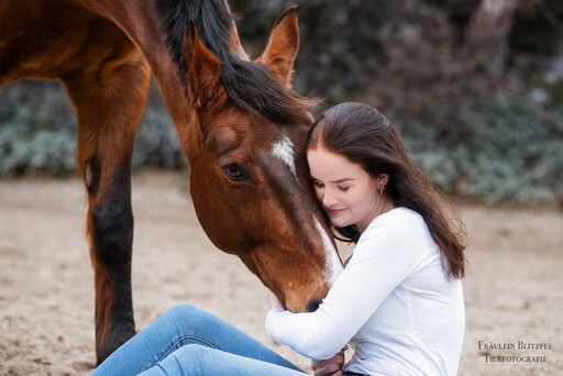 Fräulein Blitzfee Pferdefotografie | Portfolio | Tierfotograf auf alleFotografen