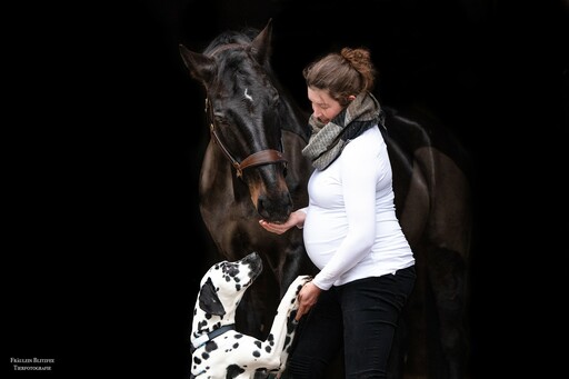 Fräulein Blitzfee Pferdefotografie | Portfolio | Tierfotograf auf alleFotografen