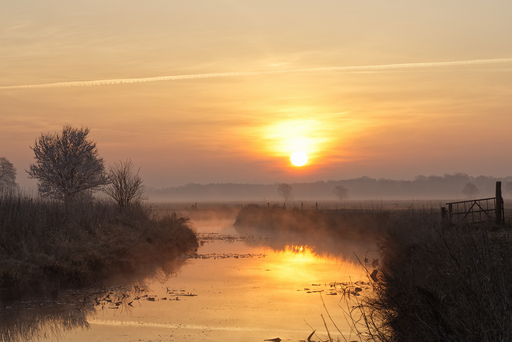 Dreyer Photography  | Wümmewiesen, Niedersachsen, Germany | Landschaftsfotograf auf alleFotografen