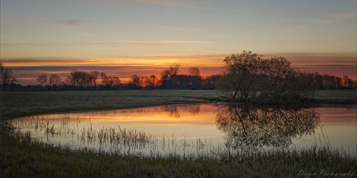 Dreyer Photography  | Wümmewiesen, Niedersachsen, Germany | Landschaftsfotograf auf alleFotografen