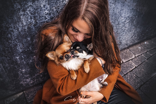 Cindy HΓΌllen Fotografie | Tierfotografie | Pferdefotograf auf alleFotografen