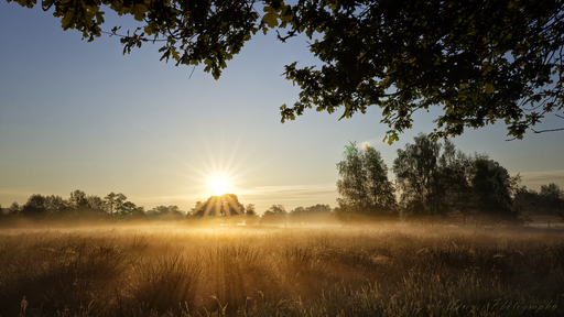 Dreyer Photography  | Wümmewiesen, Niedersachsen, Germany | Landschaftsfotograf auf alleFotografen