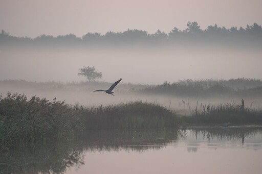 Florian Westermann | Landschaften | Industriefotograf auf alleFotografen
