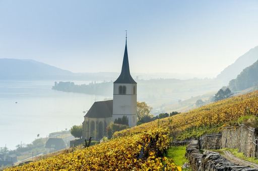 Fotografen suchen und finden