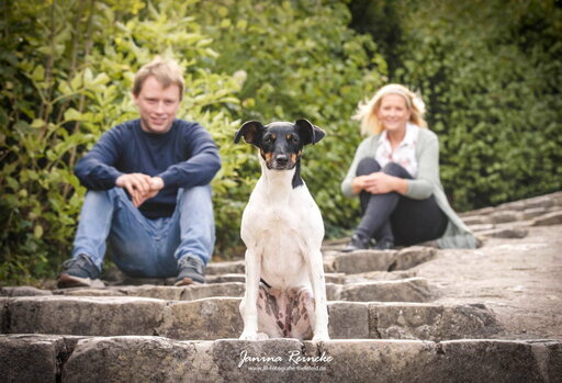 JR Fotografie Bielefeld | Mensch & Tier | Hundefotograf auf alleFotografen