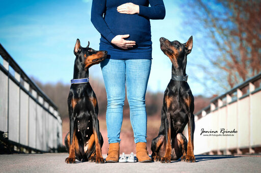 JR Fotografie Bielefeld | Mensch & Tier | Portraitfotograf auf alleFotografen