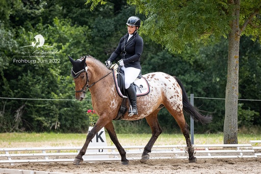 Mimis Fotowelt - Beate Hübner | ReitsportImpressionen | Tierfotograf auf alleFotografen