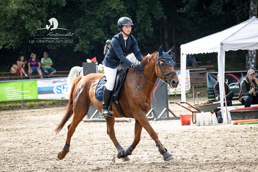 Mimis Fotowelt - Beate Hübner | ReitsportImpressionen | Sportfotograf auf alleFotografen