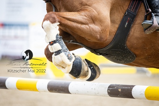 Mimis Fotowelt - Beate Hübner | ReitsportImpressionen | Tierfotograf auf alleFotografen