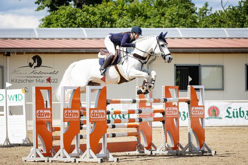 Mimis Fotowelt - Beate Hübner | ReitsportImpressionen | Hundefotograf auf alleFotografen