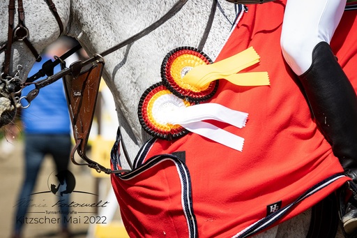 Mimis Fotowelt - Beate Hübner | ReitsportImpressionen | Sportfotograf auf alleFotografen