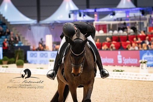 Mimis Fotowelt - Beate Hübner | ReitsportImpressionen | Tierfotograf auf alleFotografen