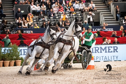 Mimis Fotowelt - Beate Hübner | ReitsportImpressionen | Sportfotograf auf alleFotografen