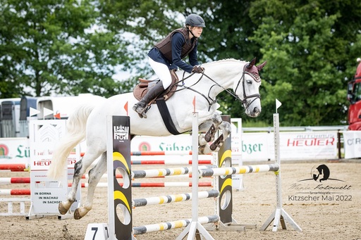 Mimis Fotowelt - Beate Hübner | ReitsportImpressionen | Tierfotograf auf alleFotografen