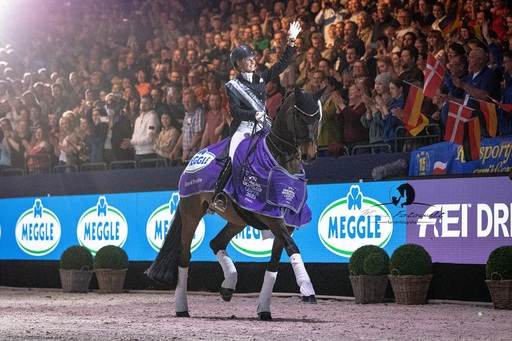 Mimis Fotowelt - Beate Hübner | ReitsportImpressionen | Sportfotograf auf alleFotografen