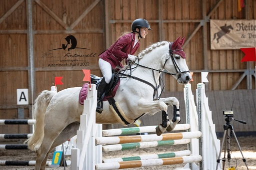 Mimis Fotowelt - Beate Hübner | ReitsportImpressionen | Hundefotograf auf alleFotografen