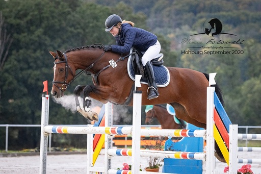 Mimis Fotowelt - Beate Hübner | ReitsportImpressionen | Pferdefotograf auf alleFotografen