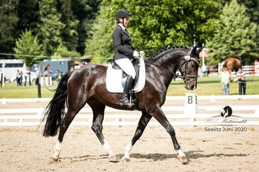 Mimis Fotowelt - Beate Hübner | ReitsportImpressionen | Hundefotograf auf alleFotografen