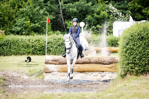 Mimis Fotowelt - Beate Hübner | ReitsportImpressionen | Tierfotograf auf alleFotografen