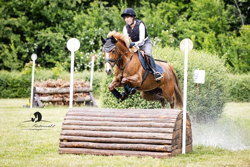 Mimis Fotowelt - Beate Hübner | ReitsportImpressionen | Tierfotograf auf alleFotografen