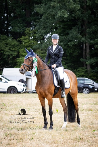 Mimis Fotowelt - Beate Hübner | ReitsportImpressionen | Hundefotograf auf alleFotografen