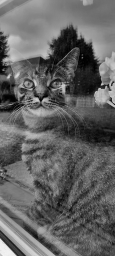 André Weber | Photo-Andy | Tierisches | Babyfotograf auf alleFotografen