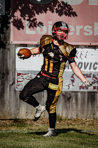 SportEventFotografie - Roman Stoiber | Sportfotografie | Pressefotograf auf alleFotografen