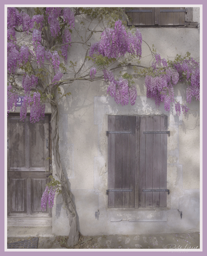 ArtSpoon Photography | Natur | Werbefotograf auf alleFotografen