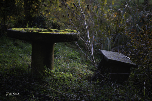 ArtSpoon Photography | Natur | Beautyfotograf auf alleFotografen