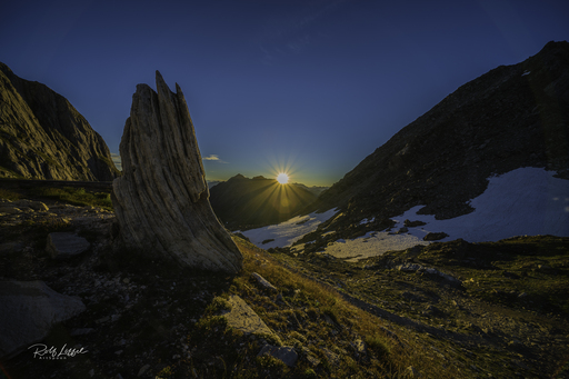 ArtSpoon Photography | Natur | Portraitfotograf auf alleFotografen