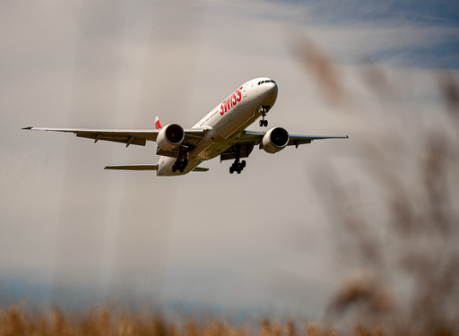 GarciiaPhotographie | Airplanes | Hundefotograf auf alleFotografen